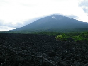 焼き走り溶岩流から見た岩手山